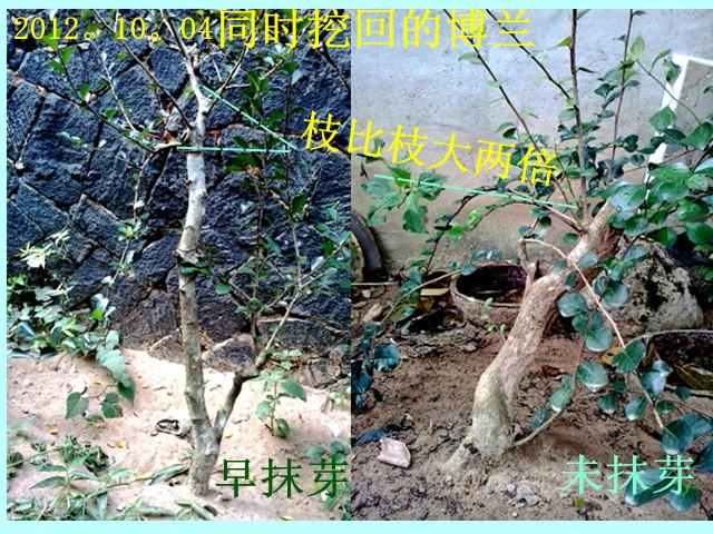 20131102_161646__.jpg