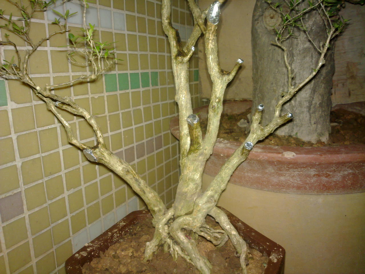 201311171351.jpg