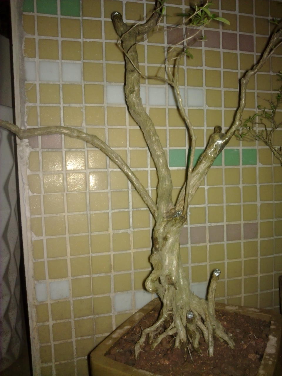 201311171354.jpg