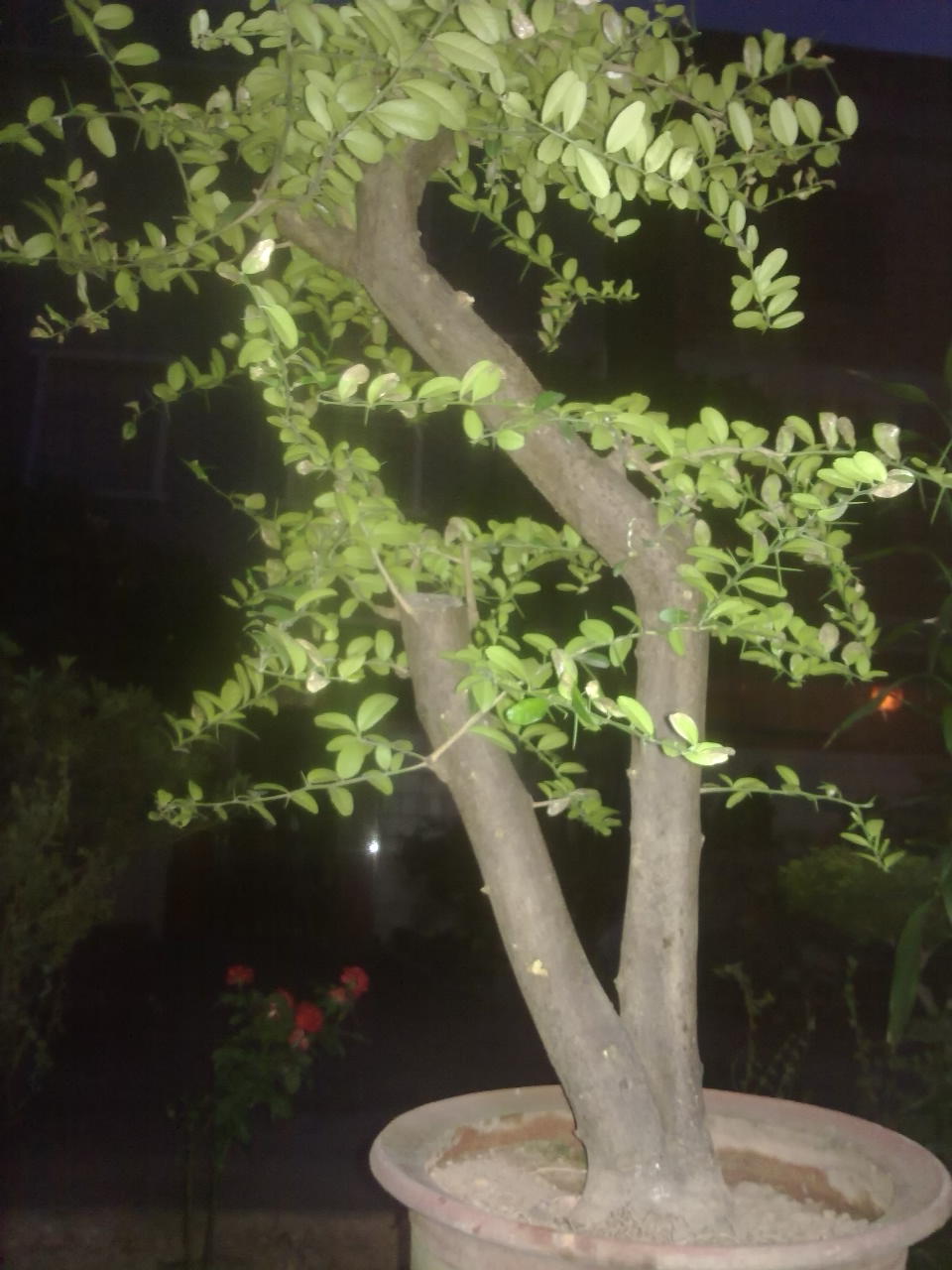 201310241301.jpg