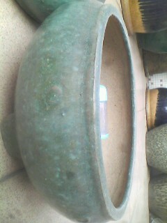 IMG0236A.jpg