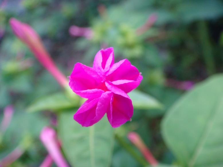 DSC05882.JPG