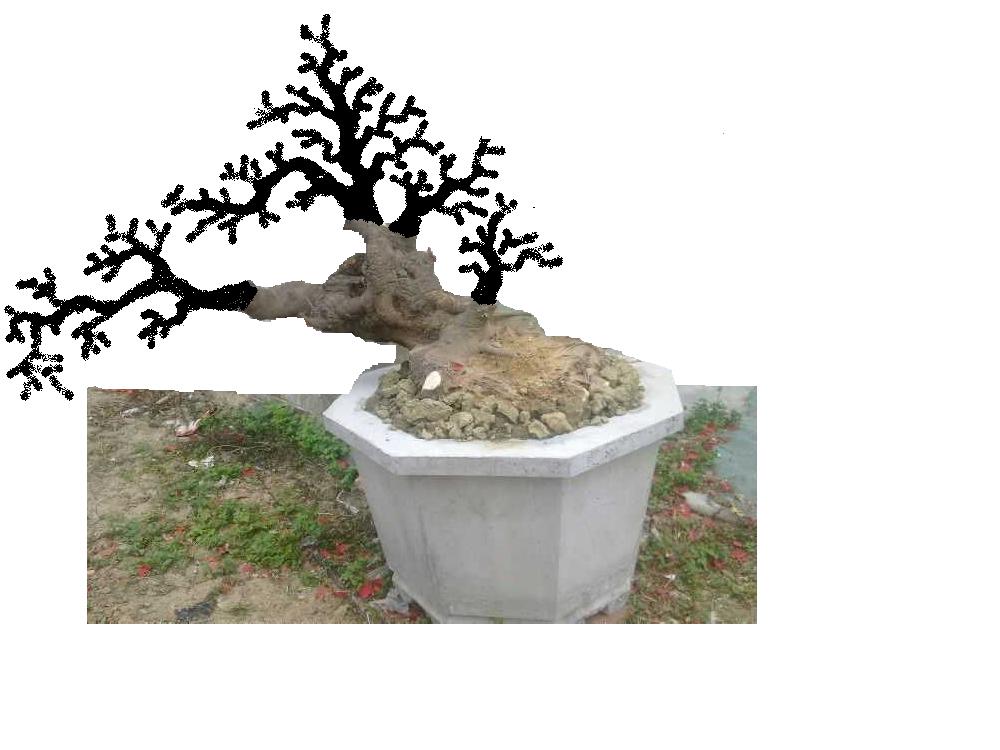 δ.JPG