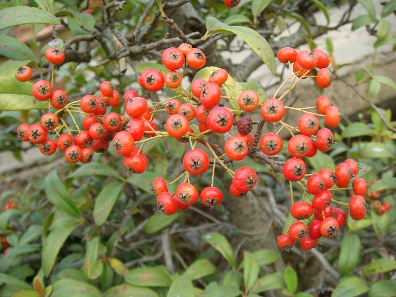 DSC05580.JPG