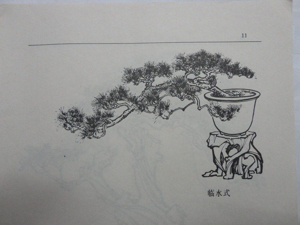 DSC00343_С.JPG