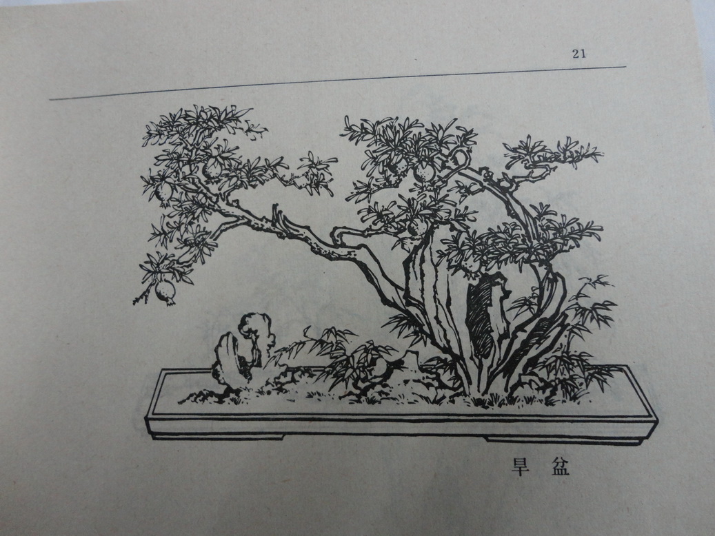 DSC00359_С.JPG