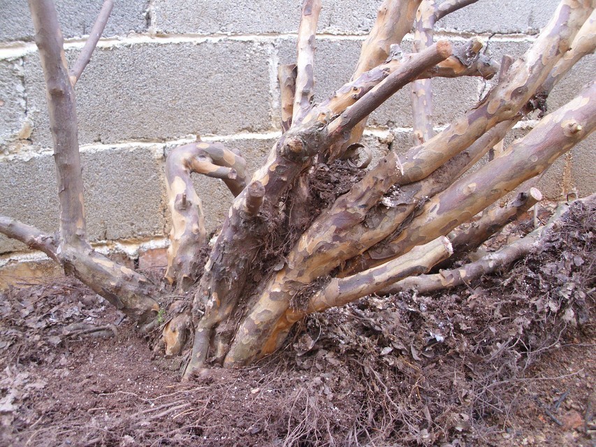 QQͼƬ20131122200607.jpg