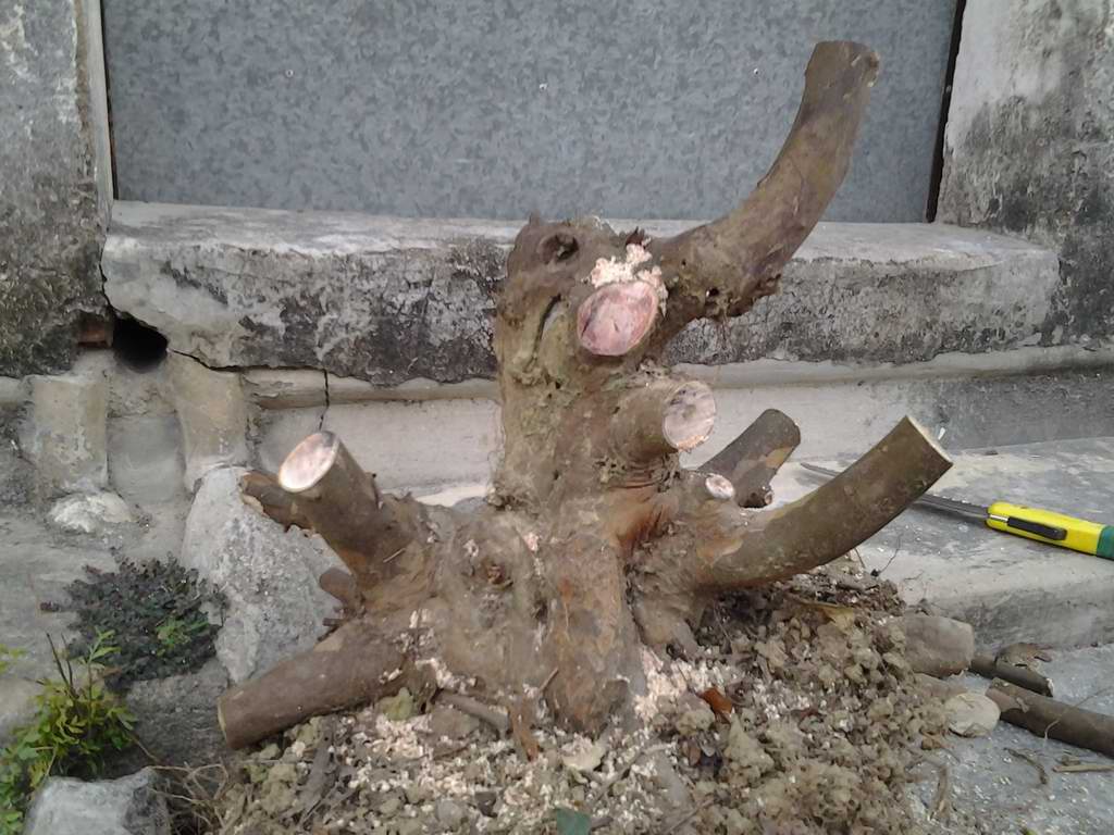 20131122_172555.jpg