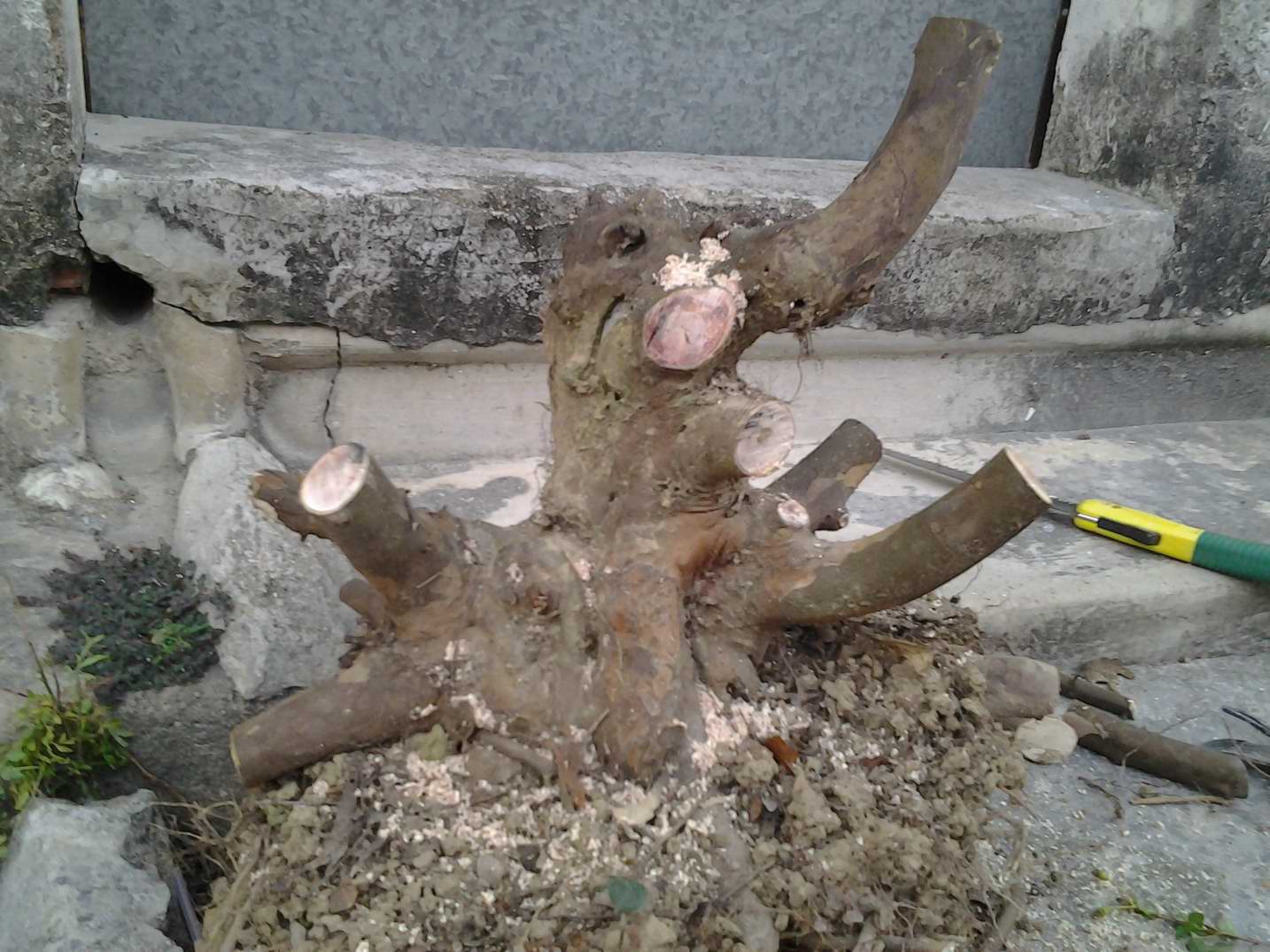 20131122_172544.jpg