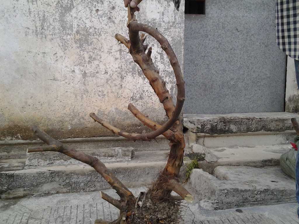 20131122_171414.jpg