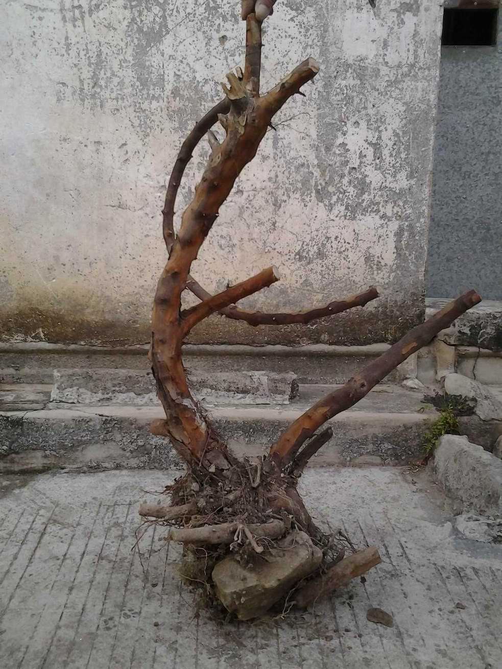 20131122_171401.jpg