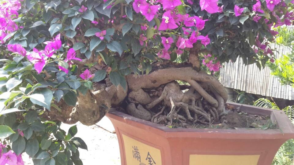 QQͼƬ20131124122152.jpg