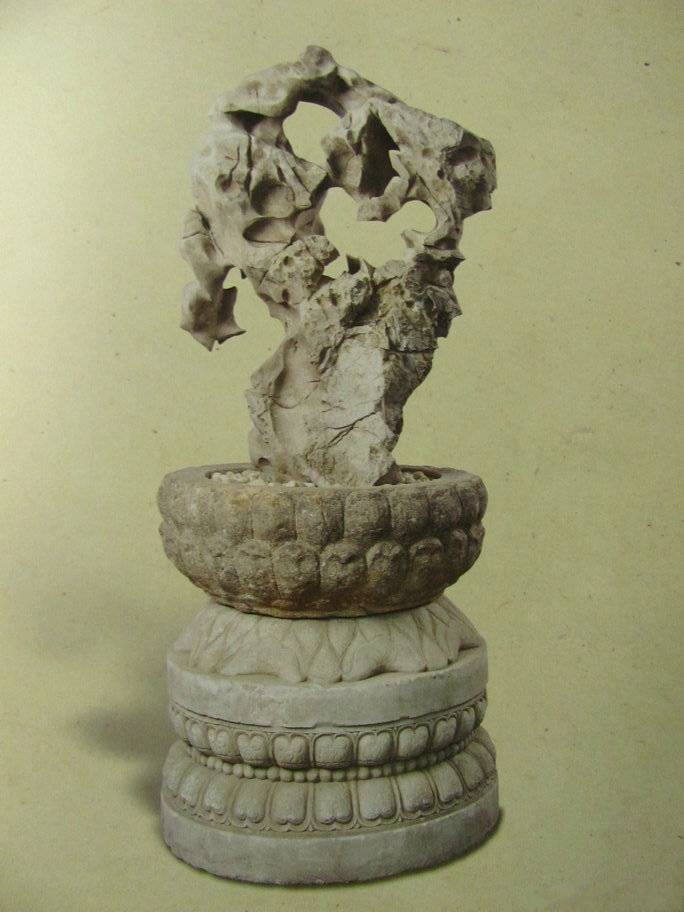 2011ӡ紺ĵļʯͷƬǷͼ¼_conew1.jpg