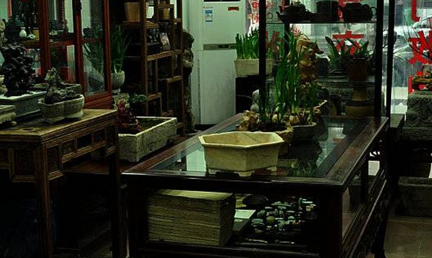 1201282305b54092f9317bc90c_conew1.jpg