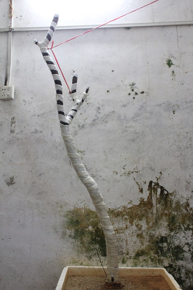 psb (7).jpg