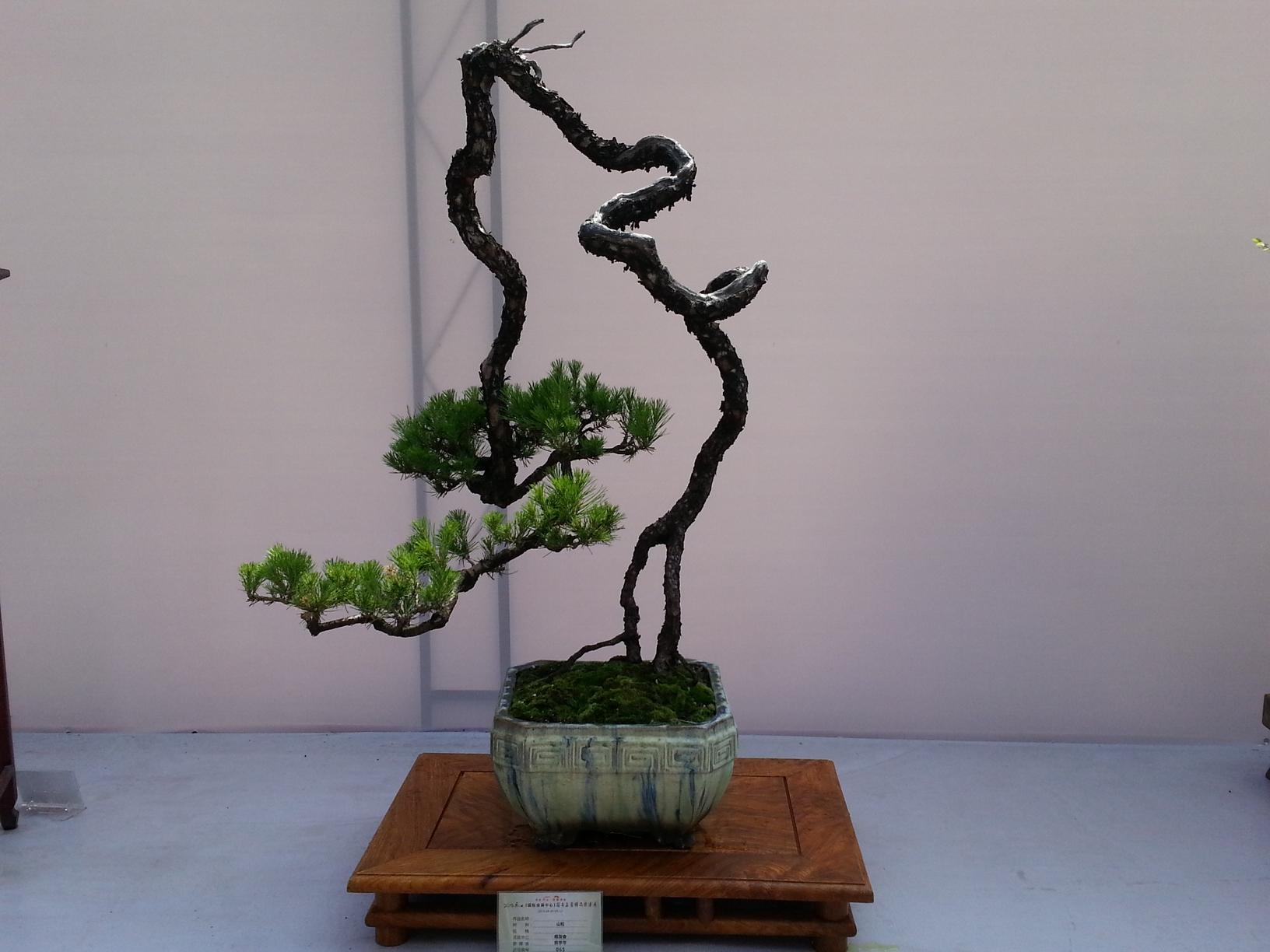 20130910_102428.jpg