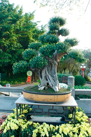 _MG_9317.JPG