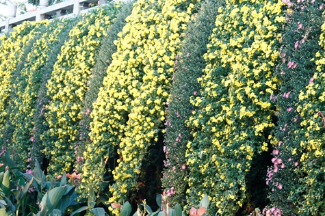 _MG_9323.JPG