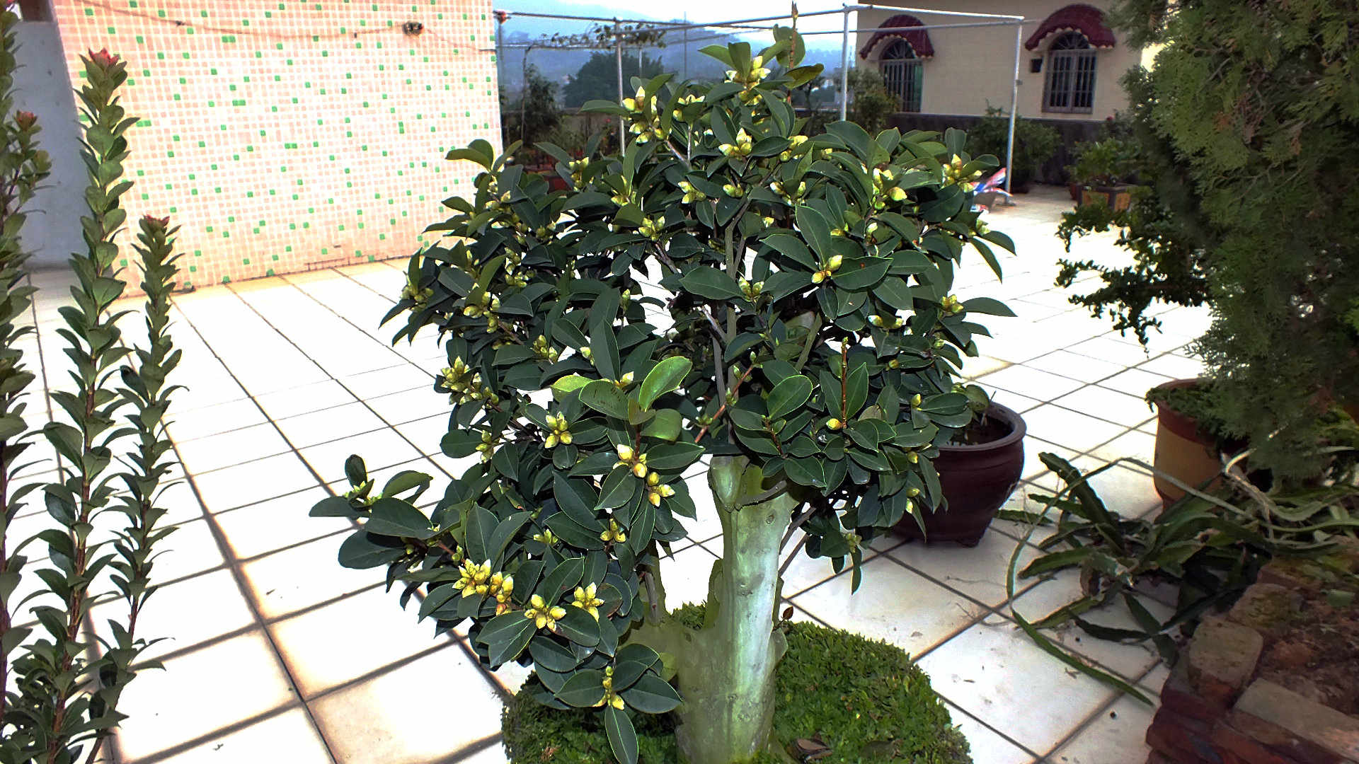 Ƭ 002.jpg