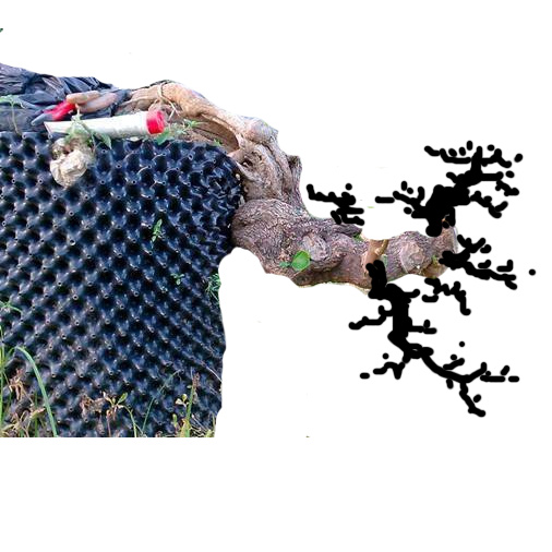 δ-5.jpg