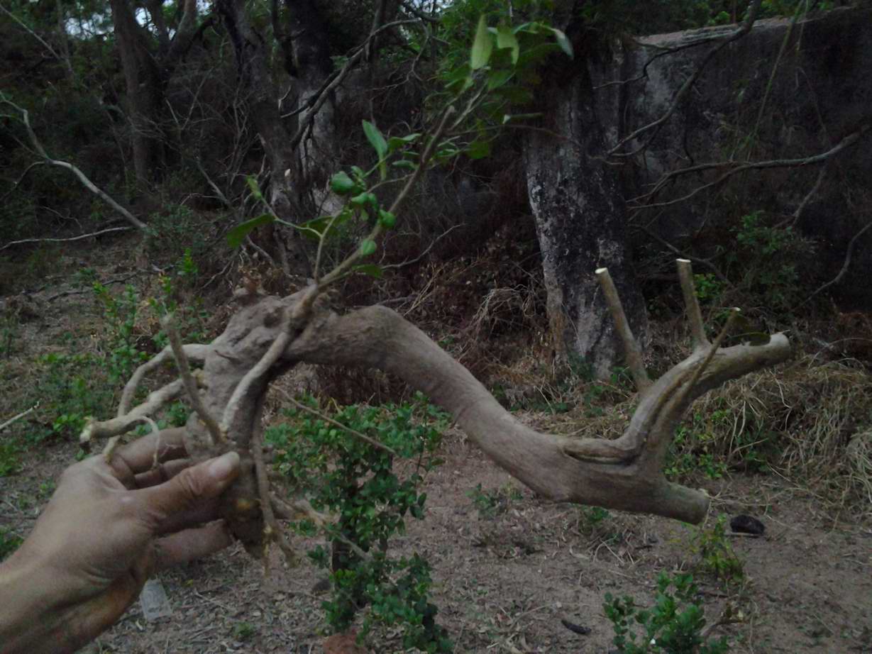 20131127_173241.jpg