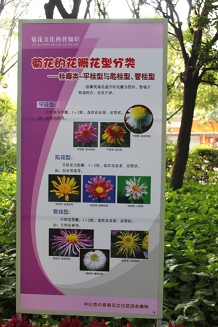 IMG_9517.JPG
