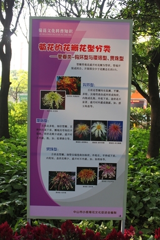 IMG_9518.JPG