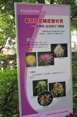 IMG_9519.JPG