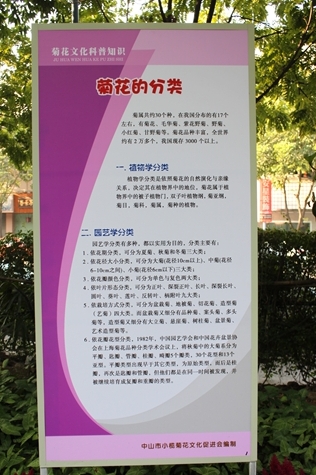 IMG_9529.JPG