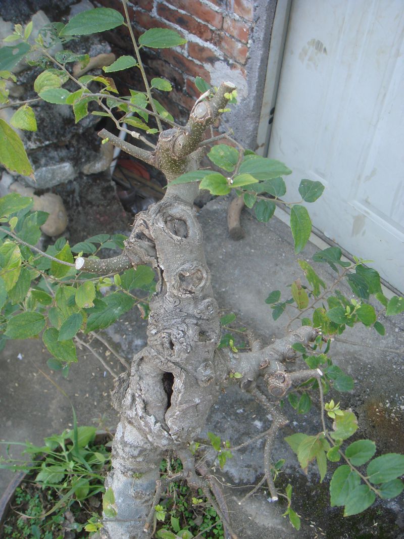 DSC05190.JPG
