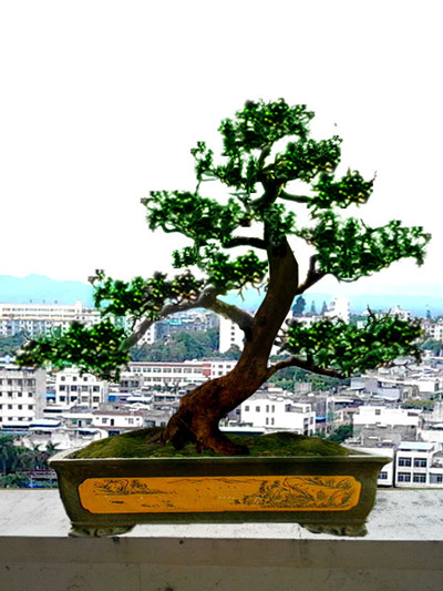 04.jpg