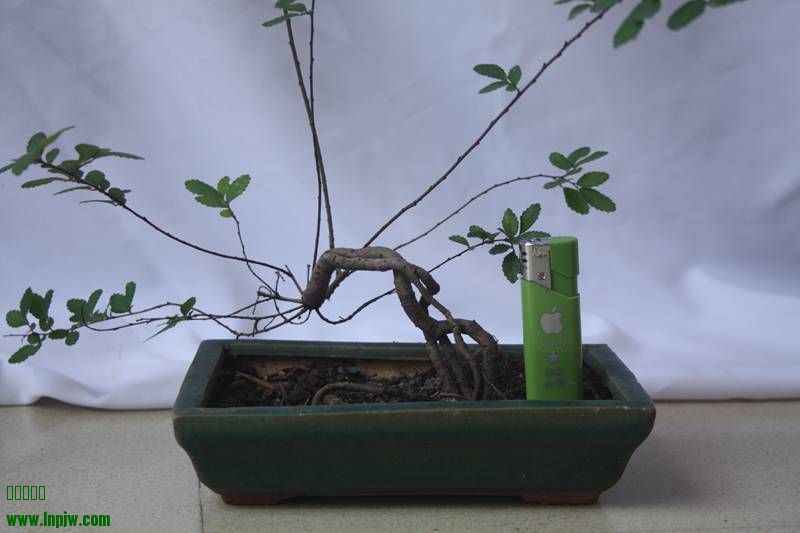 Ƭ20131026ۺ 456.jpg