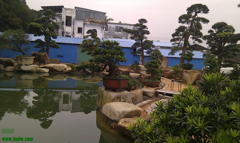IMG_20130401_154907.jpg