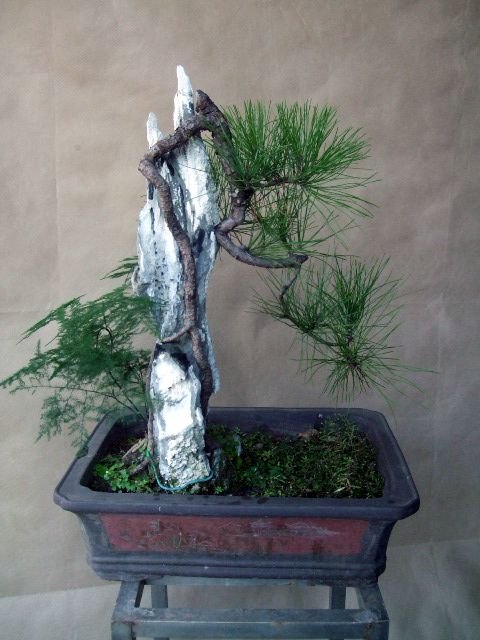 DSCF0235.JPG