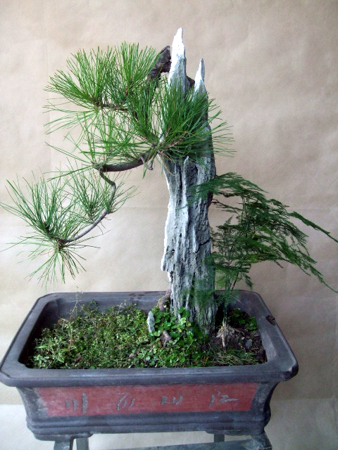 DSCF0234.JPG
