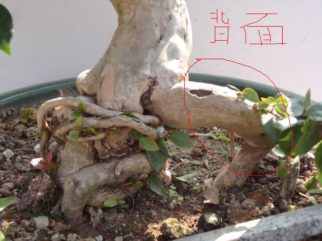 DSC01734.JPG