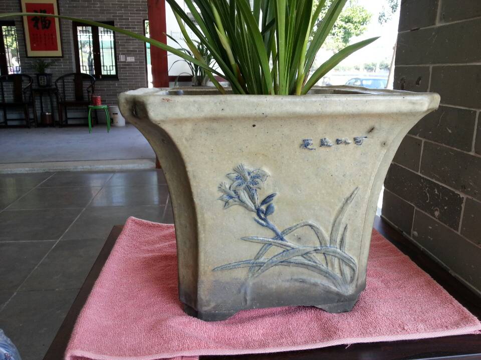 mmexport1386168852535.jpg