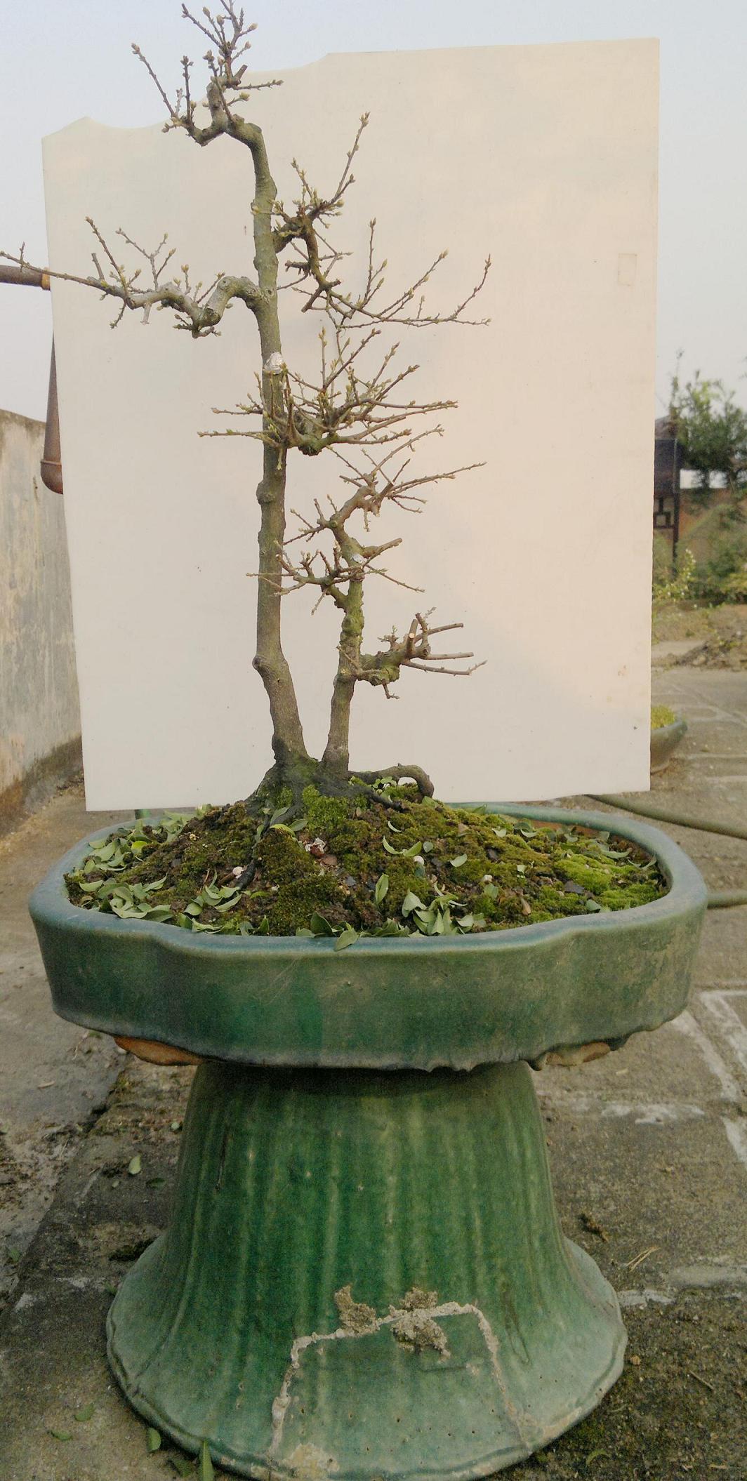 201312061707.jpg
