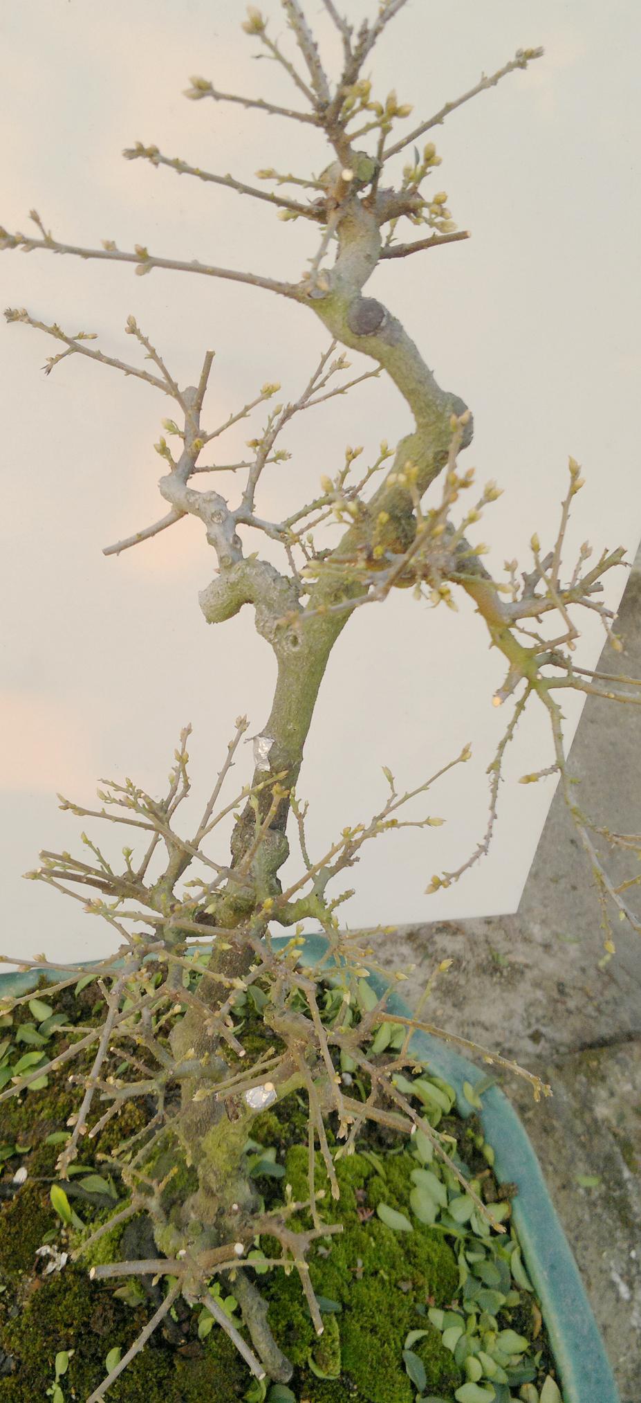 201312061709.jpg