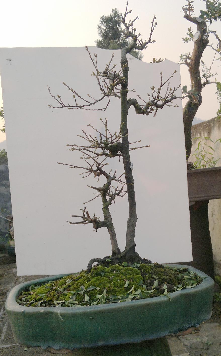 201312061710.jpg