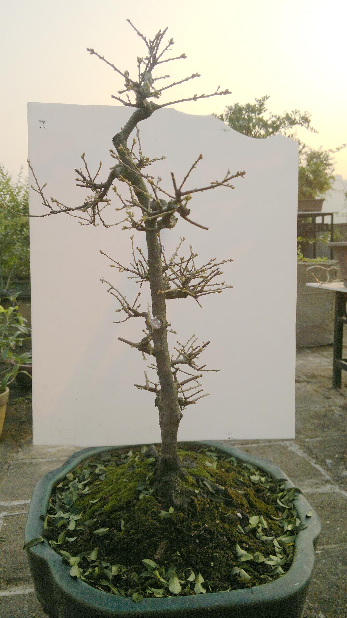 201312061711.jpg