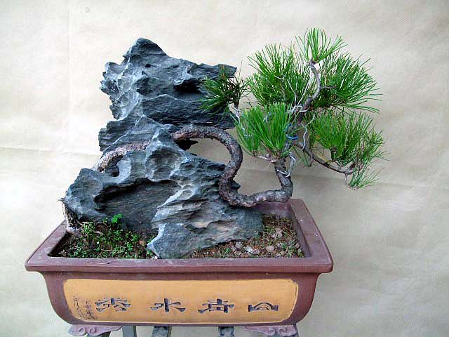 DSCF0273.JPG