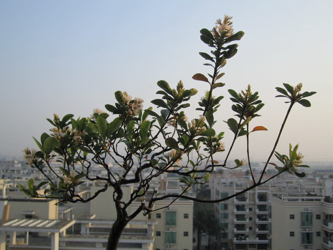 IMG_6136_С.JPG
