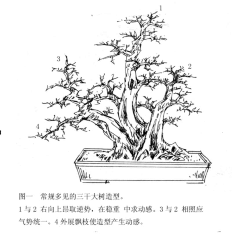 20056381817159.jpg