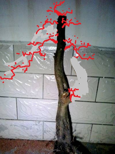 [][][][[]][[]][[]230513ka9iod98z1qc91va_jpg_thumb.jpg