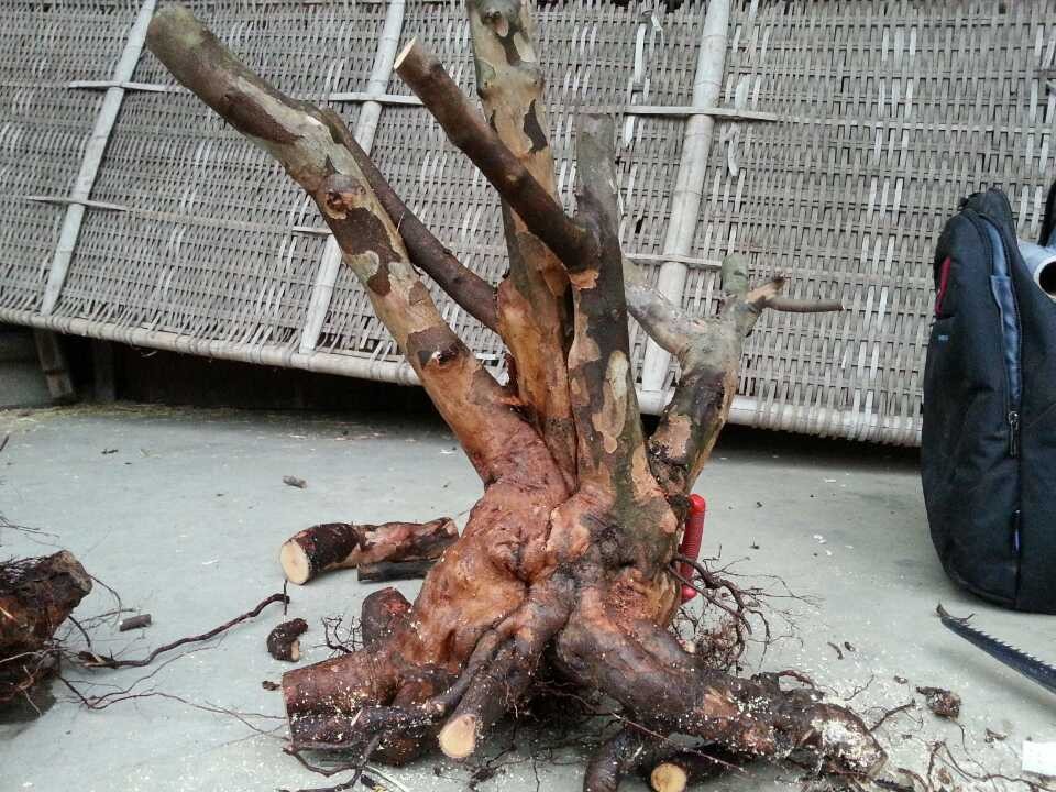 QQͼƬ20131208211920.jpg