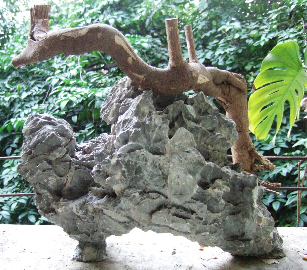 DSCF4500.JPG