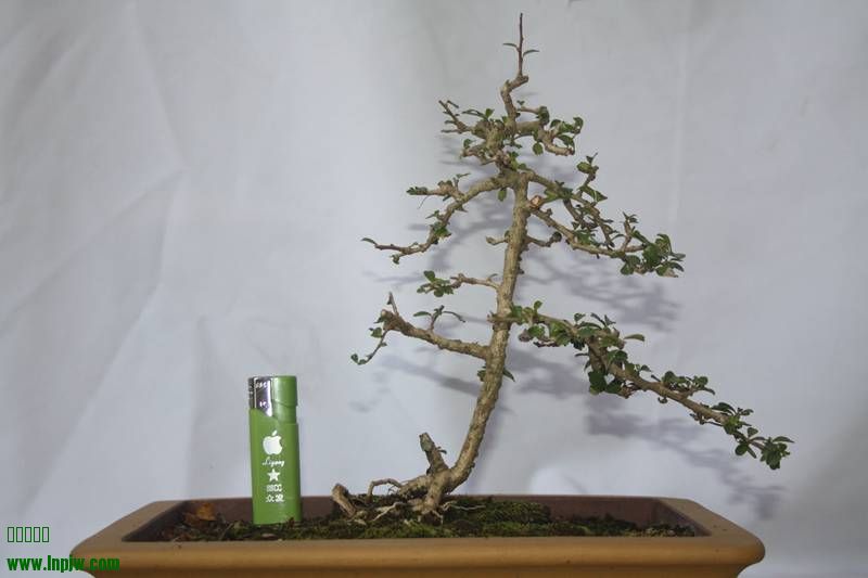 Ƭ20131026ۺ 485.jpg