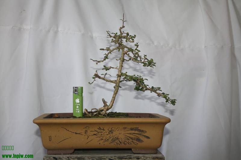 Ƭ20131026ۺ 480.jpg