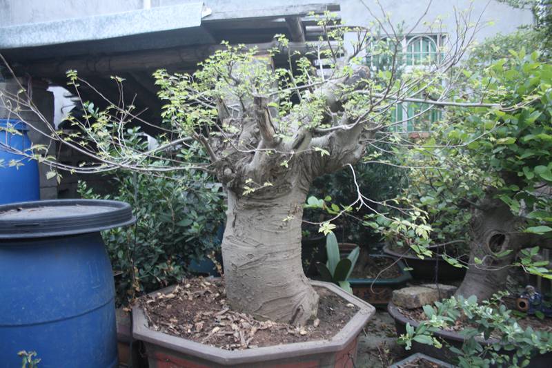 Ƭ20131026ۺ 102.jpg